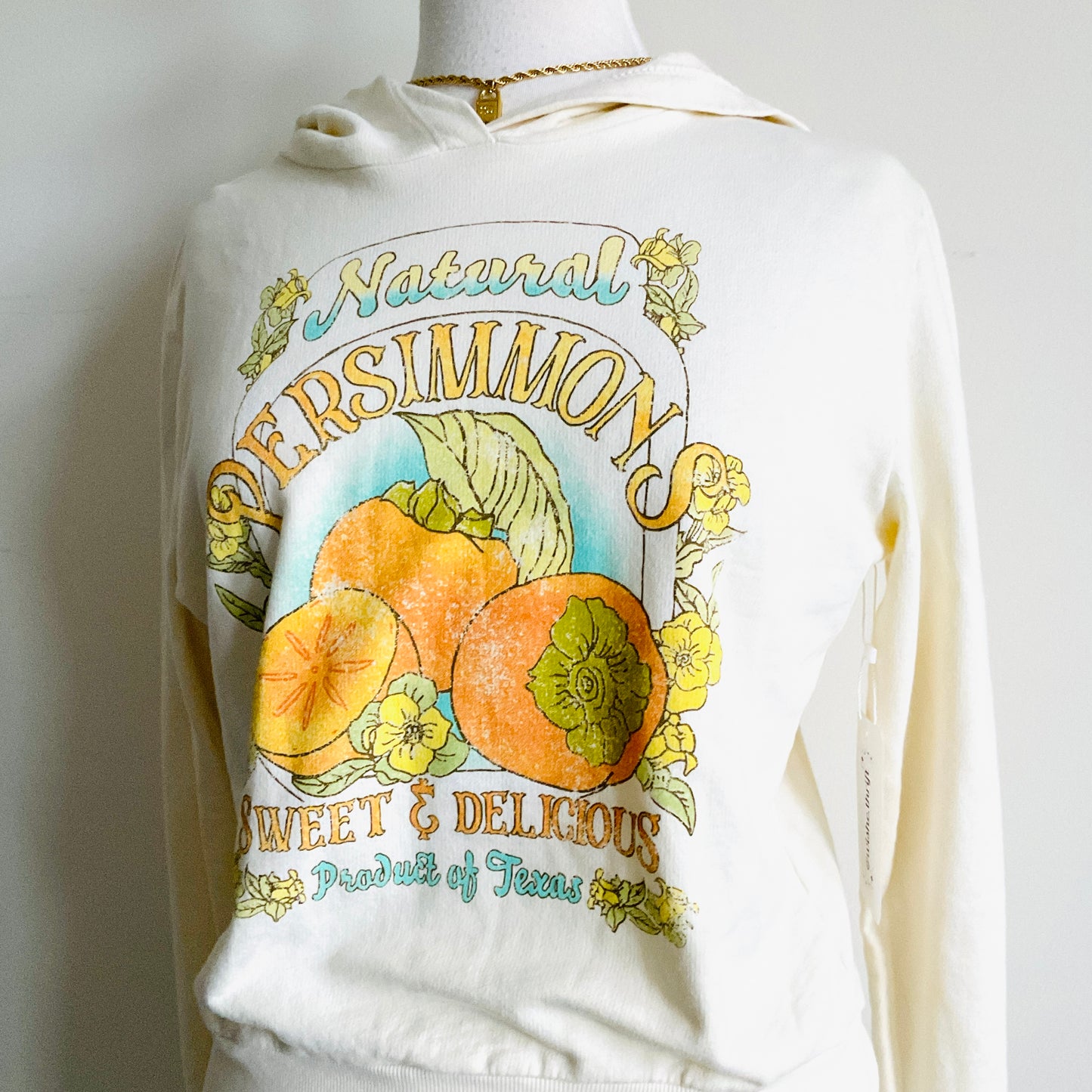 Urban Outfitters Persimmons Graphic Hoodie