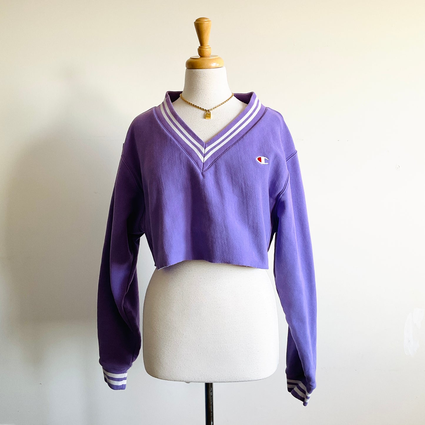 Urban Outfitters x Champion Cropped Sweatshirt