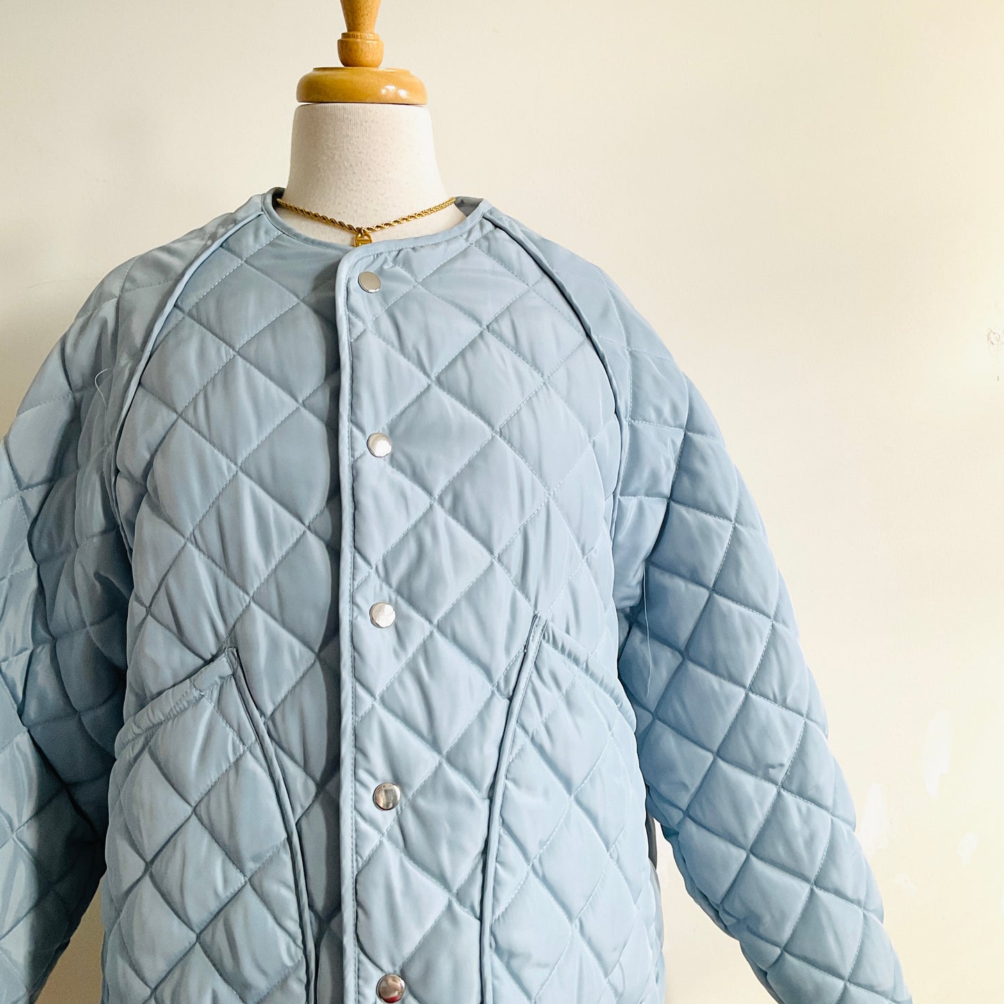 Trunk Project Quilted Jacket